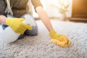 Carpet Stain Removal