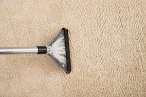 Wet Carpet Drying