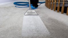 Rug Steam Cleaning Tarneit