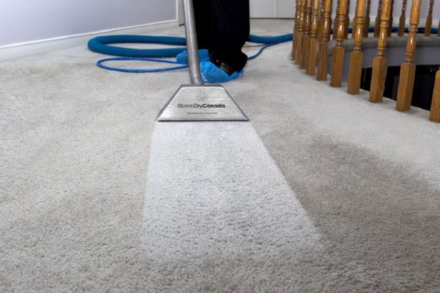 Rug Steam Cleaning Tarneit