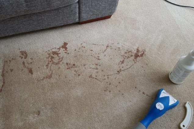 Carpet Stain Removal Albanvale