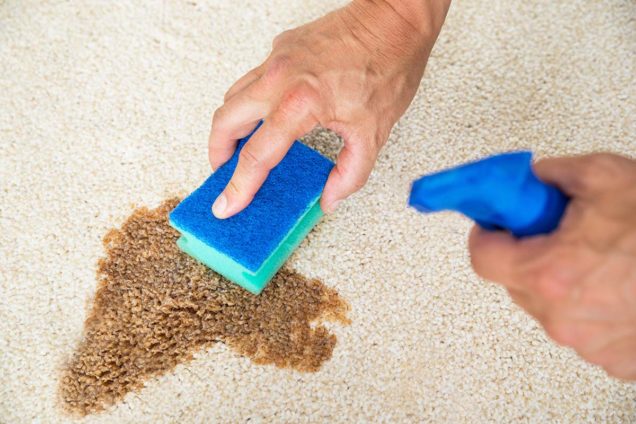 Carpet Stain Removal Caroline Springs