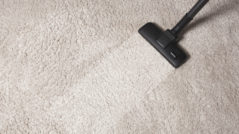 Carpet Stain Removal Glenroy