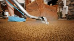 Rug Steam Cleaning Frankston