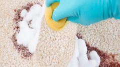 Carpet Stain Removal Levorton