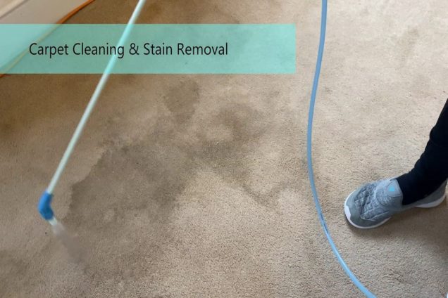 Carpet Stain Removal Endeavour Hills