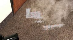 Odor Removal Treatment Albanvale